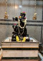 Abisheka at Shri Bhavanishankar Sannidhi and Shri Muralidhar Krishna at Saraswat Sanskrirti Bhavan, New Delhi (19th March 2026)